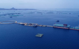2022年我國(guó)海洋經(jīng)濟(jì)平穩(wěn)增長(zhǎng) 生產(chǎn)總值達(dá)約9.5萬億元