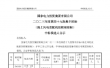 國家電投16GW海上風(fēng)電框采項(xiàng)目開標(biāo)，8家整機(jī)商預(yù)中標(biāo)！