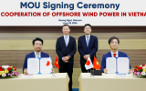 Marubeni Group與Doosan Vina合作開發(fā)越南海上風電