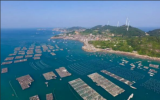 浙江省海洋經(jīng)濟(jì)廳&浙江省農(nóng)發(fā)集團(tuán)簽署《戰(zhàn)略合作協(xié)議》，共同推動海洋漁業(yè)現(xiàn)代化建設(shè)