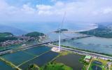 東方電氣18兆瓦海上風(fēng)電機(jī)組入選“重大工程實(shí)施取得里程碑進(jìn)展”引領(lǐng)海上風(fēng)電新突破