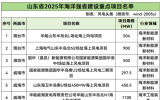 《關(guān)于2025年海洋強(qiáng)省建設(shè)重點(diǎn)項(xiàng)目名單的通知》發(fā)布！山東海洋強(qiáng)省建設(shè)6個(gè)重點(diǎn)海上風(fēng)電項(xiàng)目