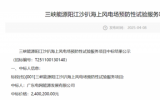 三峽陽江沙扒海上風(fēng)電場預(yù)防性試驗服務(wù)項目中標(biāo)公示