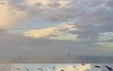 Fugro與Spoor公司合作開發(fā)海上風(fēng)電場人工智能鳥類監(jiān)測系統(tǒng)