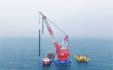 三峽陽江青洲五海上風電項目：以“加速度”推進 打造海上風電標桿工程