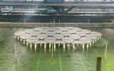 SolarDuck在MARIN完成54個互聯(lián)海上漂浮式光伏平臺的縮尺試驗